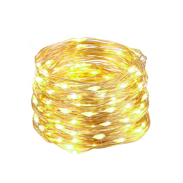 10 Pieces LED Copper Wire String Fairy Lights 2M